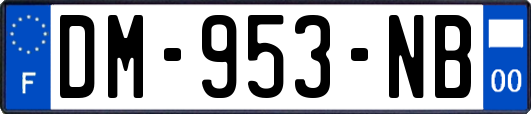 DM-953-NB
