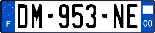 DM-953-NE