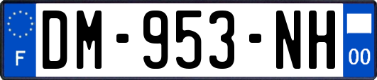 DM-953-NH