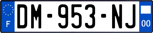 DM-953-NJ