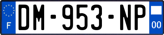 DM-953-NP