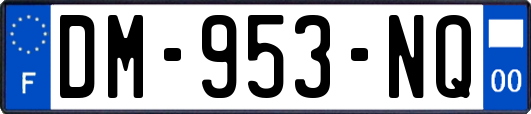 DM-953-NQ