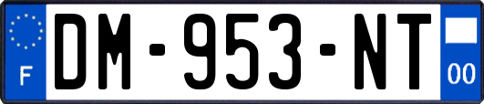 DM-953-NT