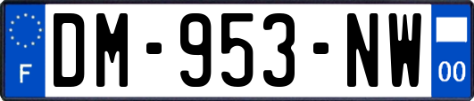 DM-953-NW