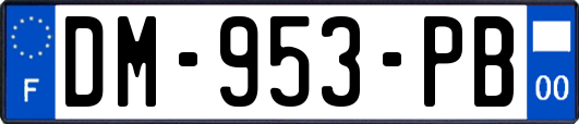 DM-953-PB