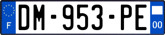 DM-953-PE