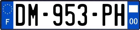 DM-953-PH