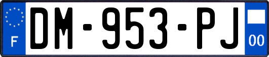 DM-953-PJ