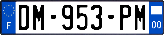 DM-953-PM