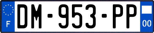 DM-953-PP