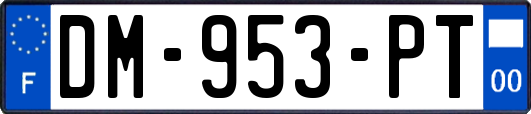 DM-953-PT