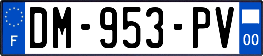 DM-953-PV