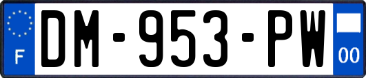 DM-953-PW