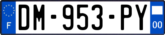 DM-953-PY