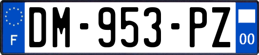 DM-953-PZ