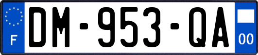 DM-953-QA