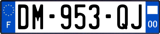 DM-953-QJ