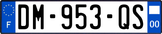DM-953-QS