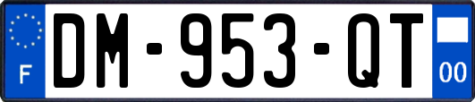 DM-953-QT