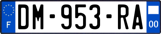 DM-953-RA