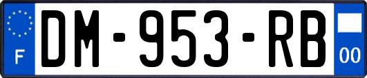 DM-953-RB