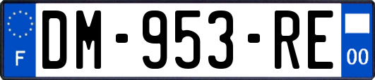 DM-953-RE