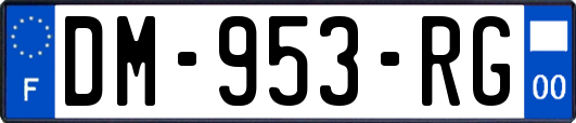 DM-953-RG