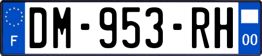 DM-953-RH