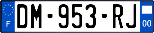 DM-953-RJ
