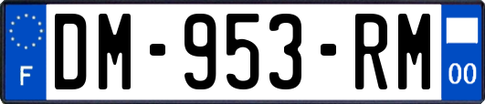 DM-953-RM