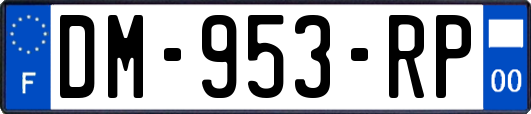 DM-953-RP