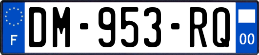 DM-953-RQ