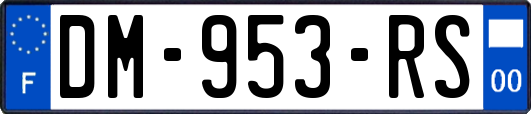 DM-953-RS