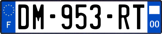 DM-953-RT