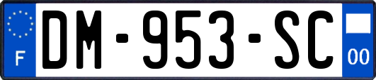 DM-953-SC