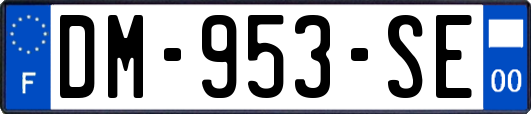 DM-953-SE