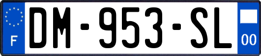 DM-953-SL