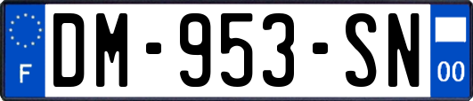 DM-953-SN