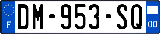 DM-953-SQ