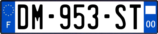 DM-953-ST