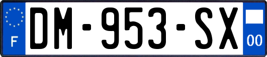 DM-953-SX