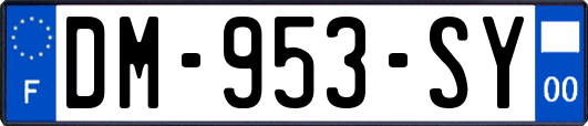 DM-953-SY