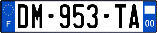 DM-953-TA