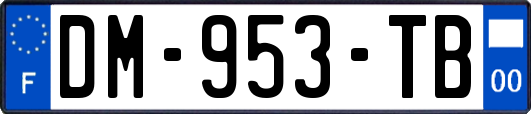 DM-953-TB