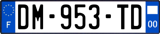 DM-953-TD