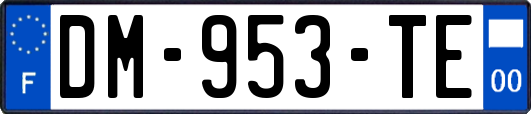 DM-953-TE