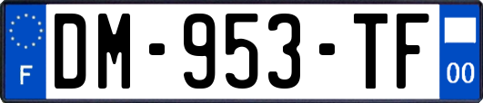 DM-953-TF