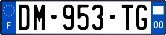 DM-953-TG