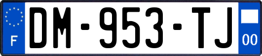 DM-953-TJ