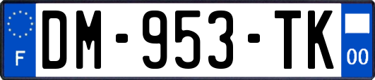 DM-953-TK